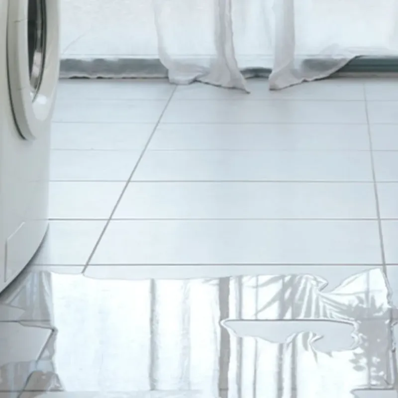 Appliance Leak Cleanup in Fairfax, MN