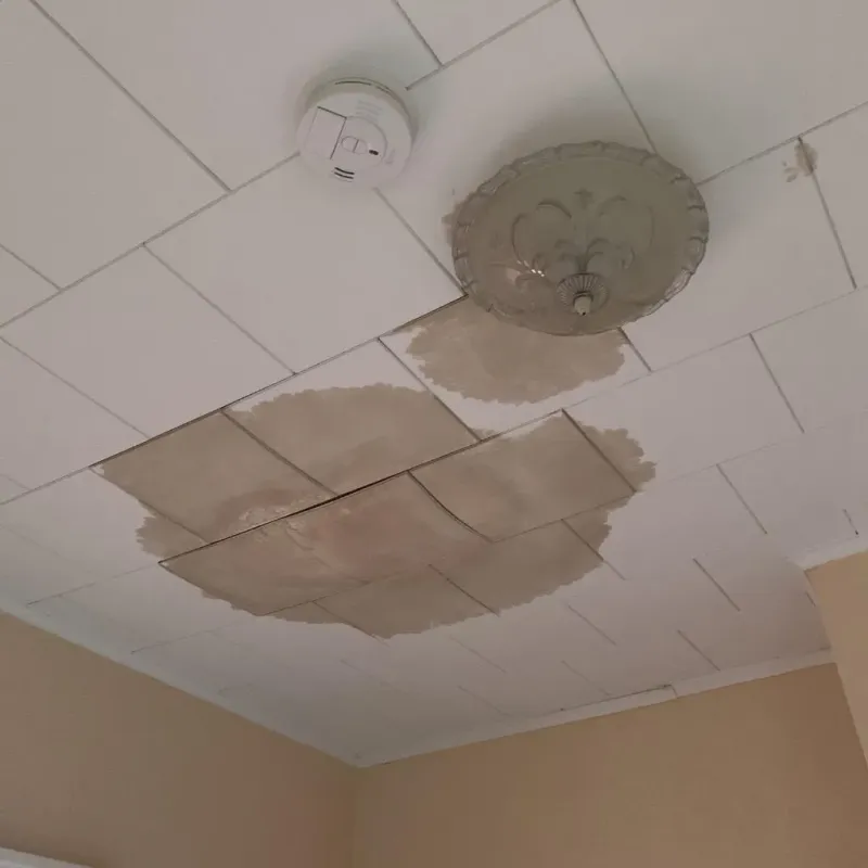 Ceiling Water Damage Repair in Fairfax, MN