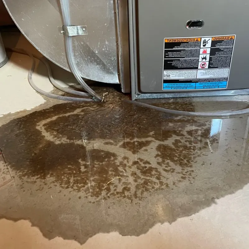 Pipe Burst and Leak Restoration in Fairfax, MN
