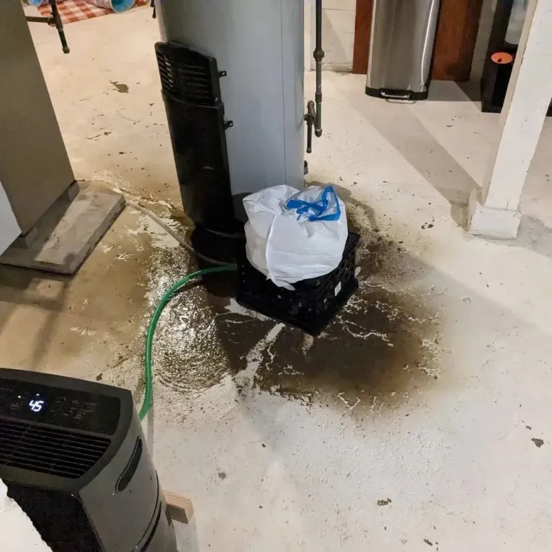Sewage Backup Cleanup Service in Fairfax, MN